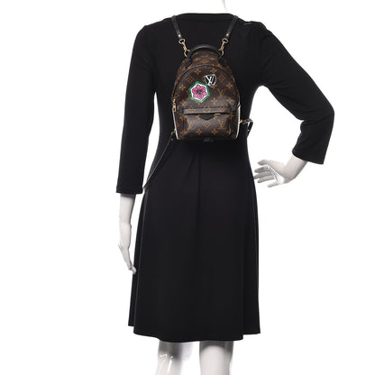 Louis Vuitton Monogram My World Tour Palm Springs Backpack Mini 2 of 10