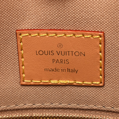 Louis Vuitton Monogram Dune Giant Onthego MM 6 of 13