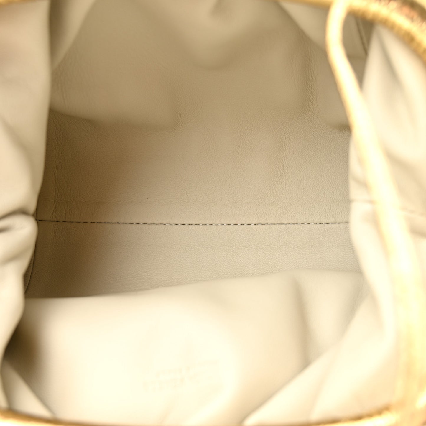 Metallic Bark Calfskin The Mini Pouch Gold