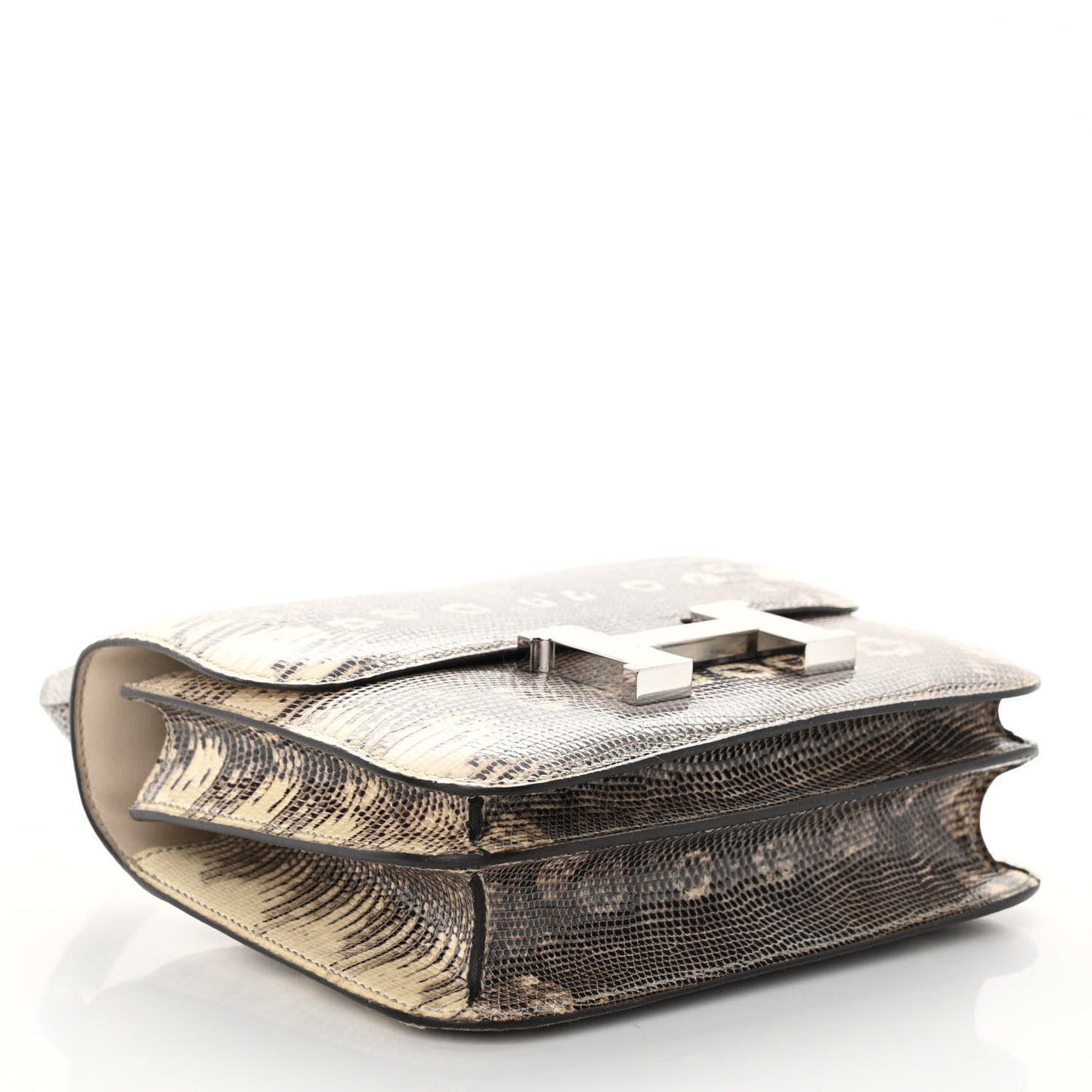 Lizard Constance 18 Ombre