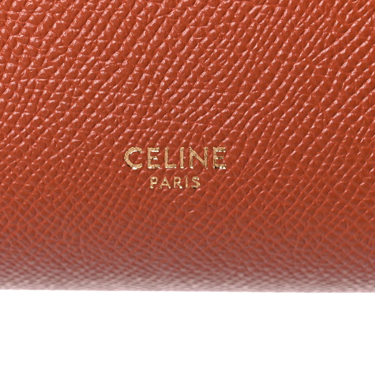 Grained Calfskin Nano Belt Bag Caramel
