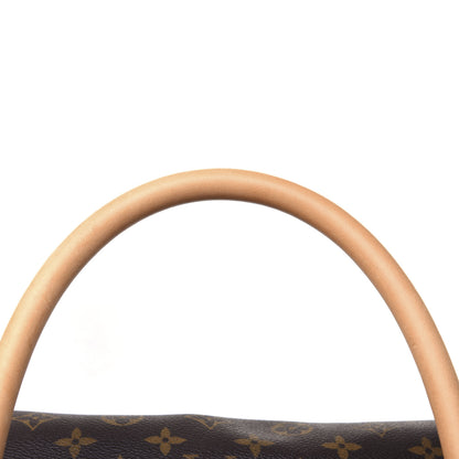 Louis Vuitton Monogram Sac Chien 40 Pet Carrier 19 of 22