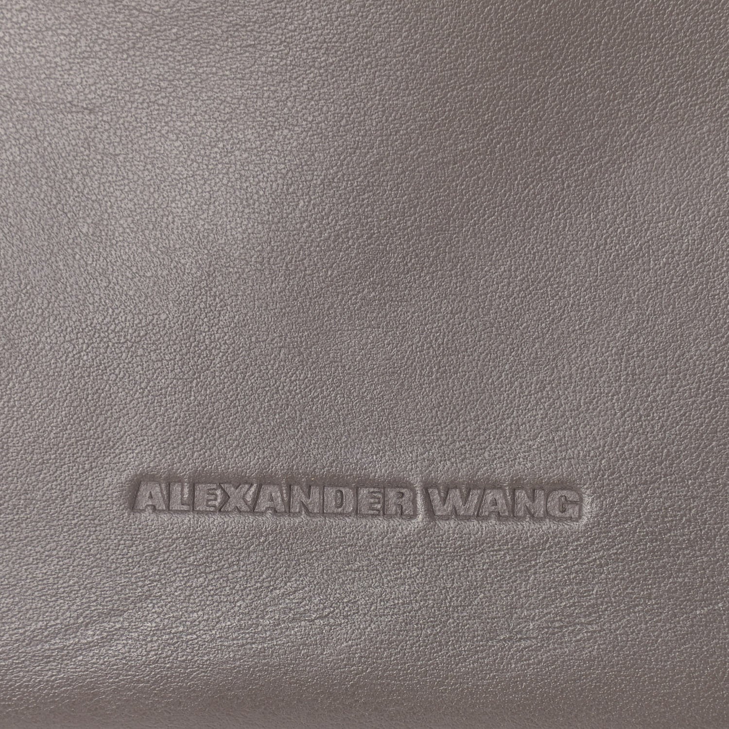 Alexander Wang Calfskin Mini Attica Chain Crossbody Mink Grey 7 of 13