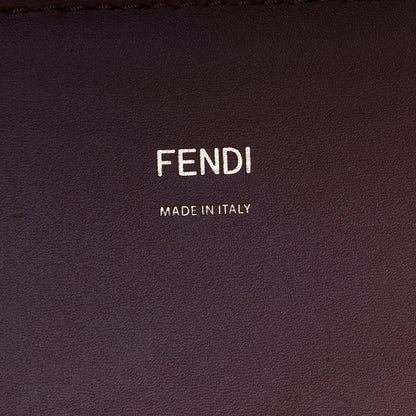 Fendi Vitello King Plexiglass Medium Fendi Sunshine Shopper Tote Cuoio 5 of 8