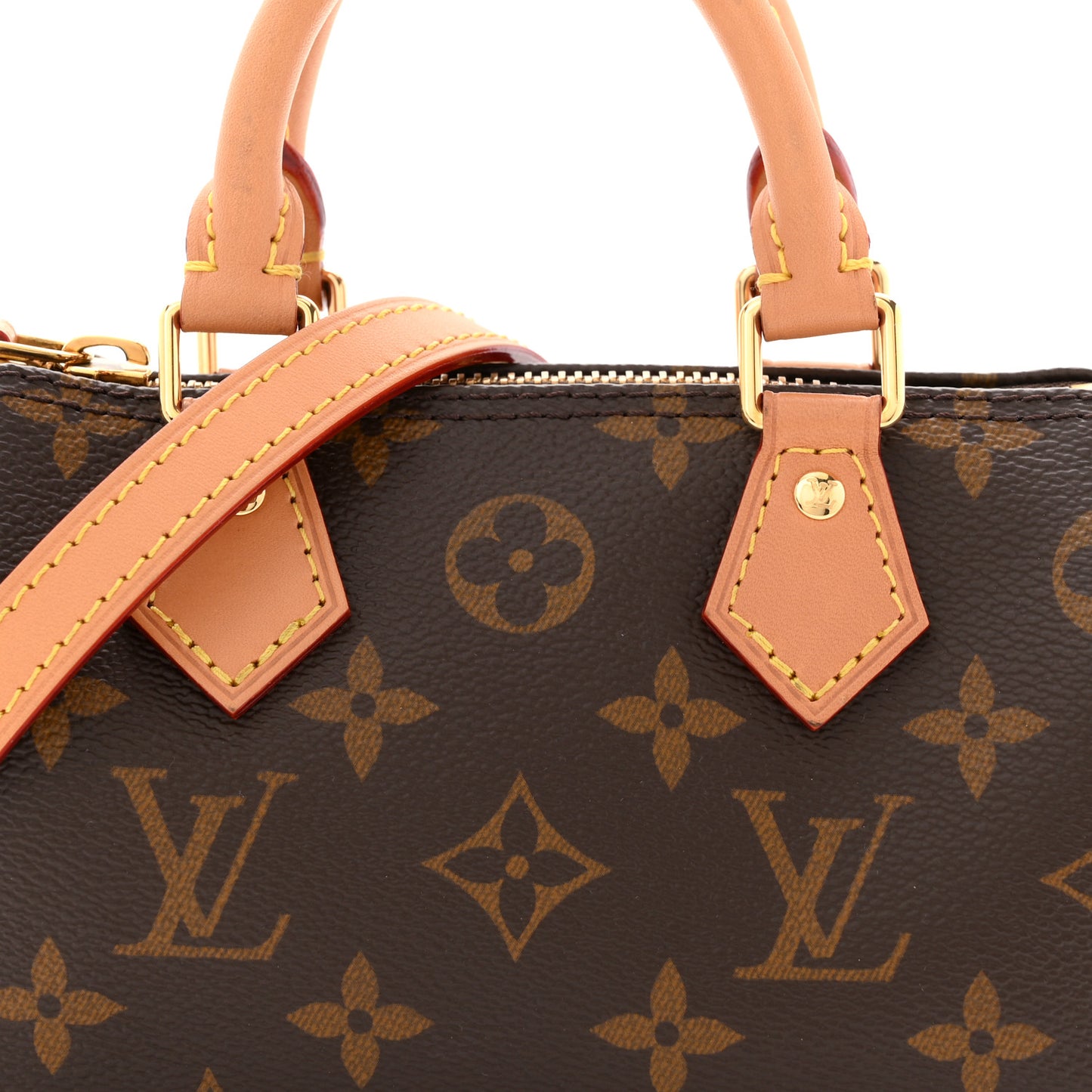 Monogram Nano Speedy Bandouliere