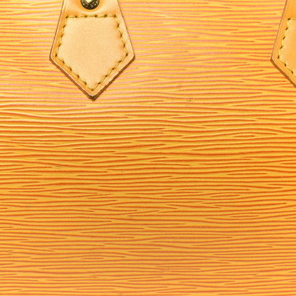 Louis Vuitton Epi Speedy 25 Tassil 7 of 22