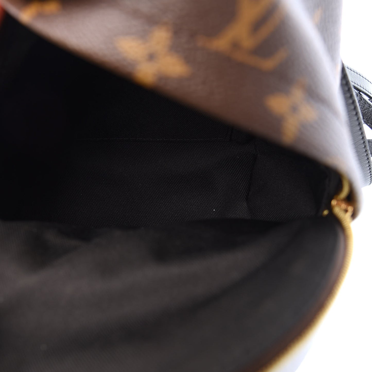 Monogram Palm Springs Backpack Mini