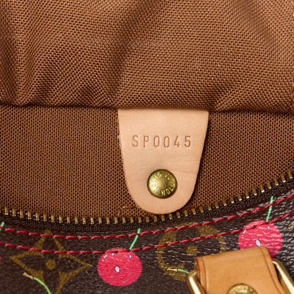 Louis Vuitton Monogram Cerises Speedy 25 7 of 12