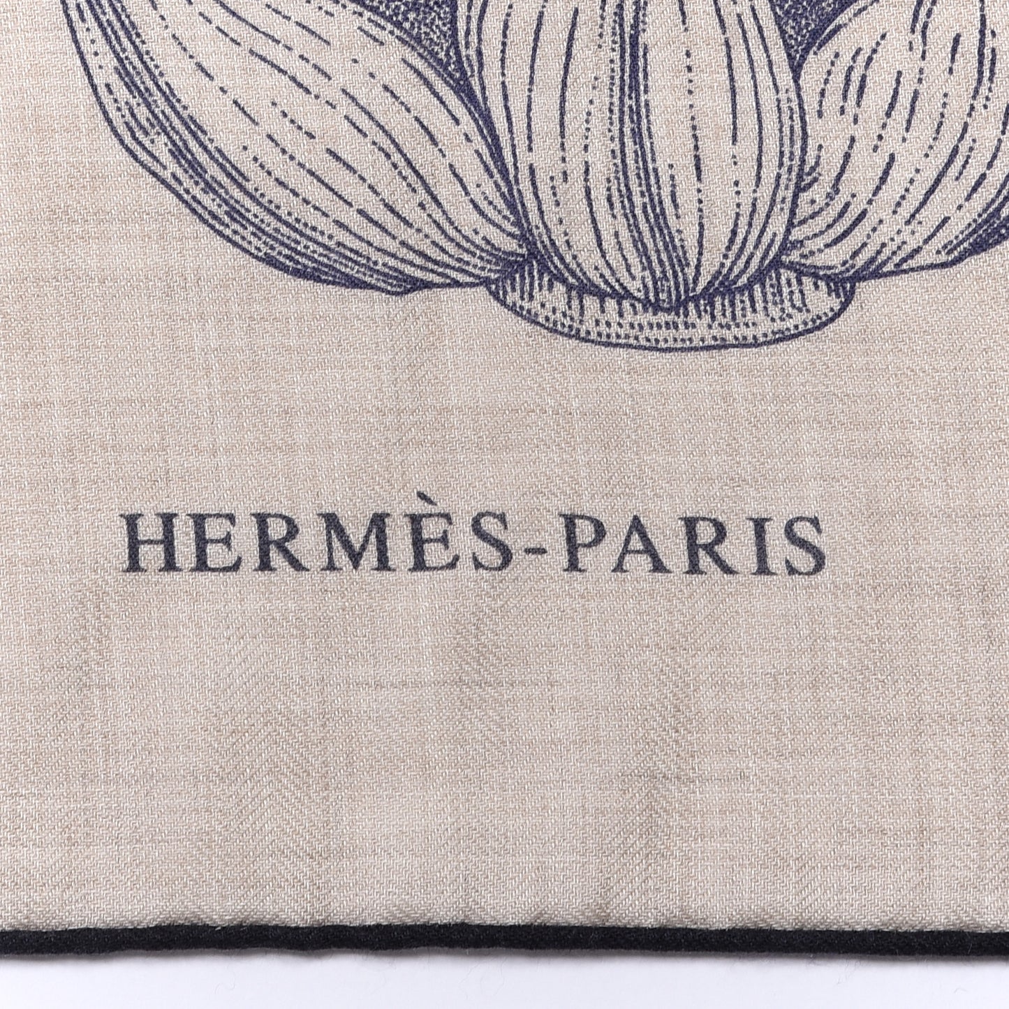 Cashmere Silk Index Palmarum Finesse Shawl 140 Naturel Bleu
