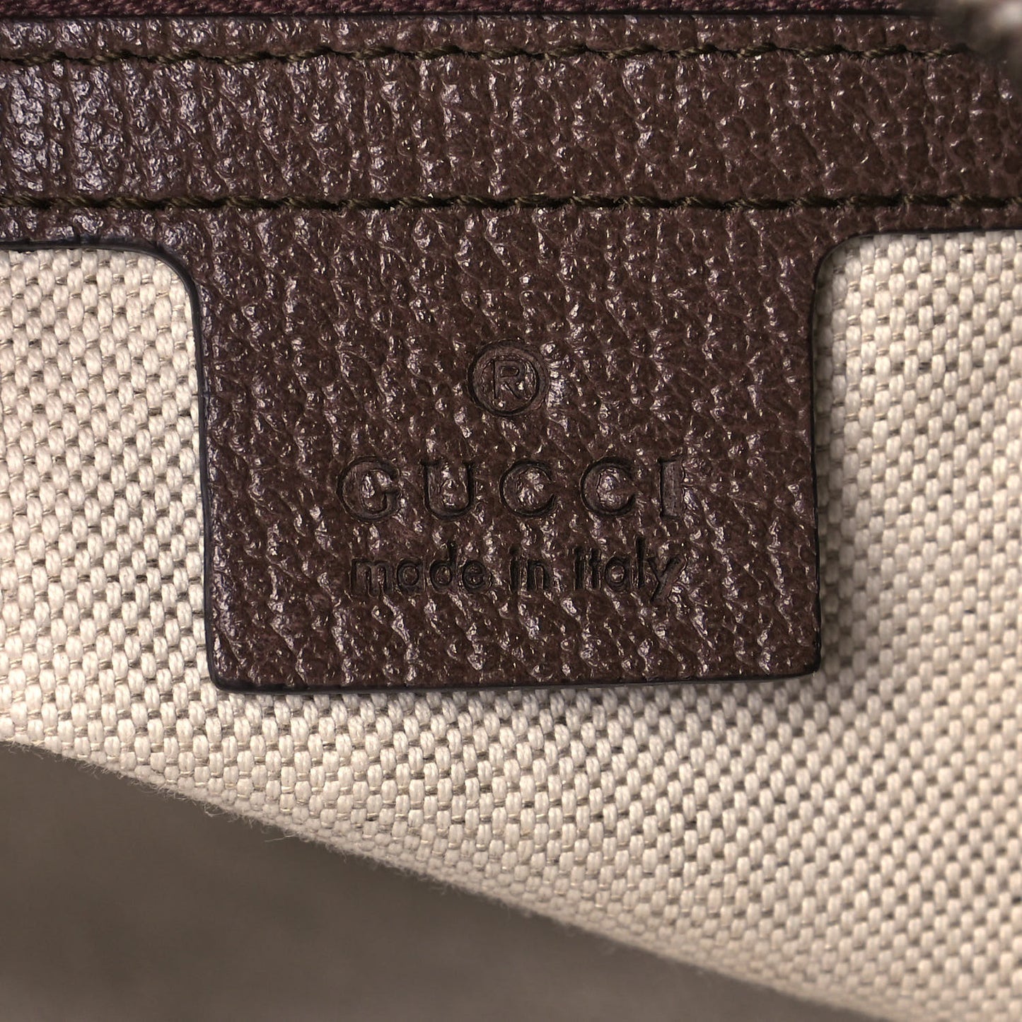 GG Supreme Monogram Web Small Ophidia Half Moon Hobo Brown