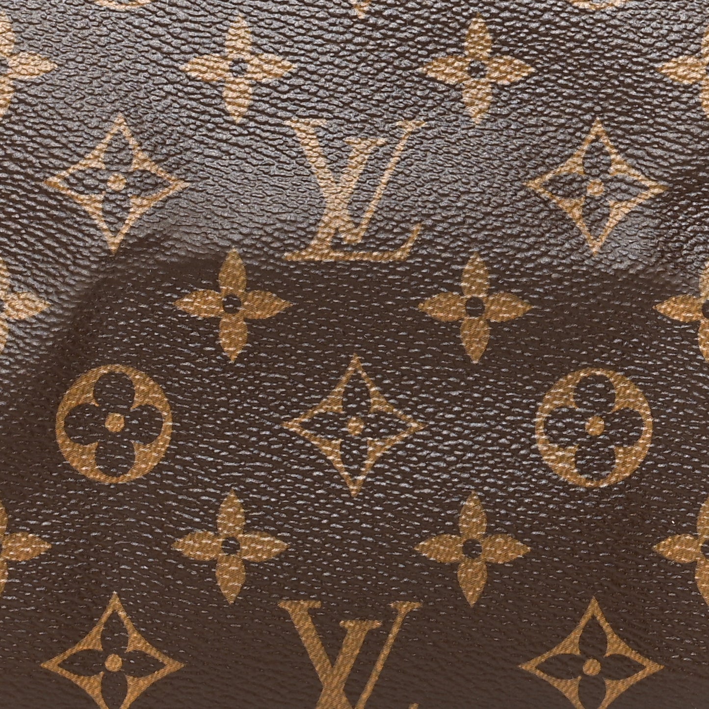 Monogram Speedy Bandouliere 25