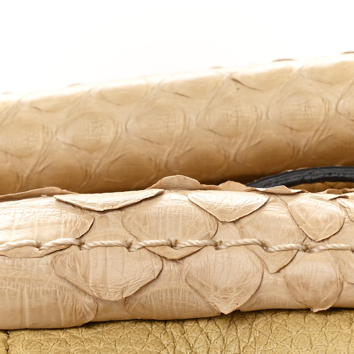 Snakeskin Medium Paraty Beige