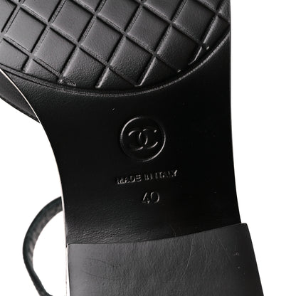 Chanel Shiny Goatskin Mary Jane Flats 40 Black 6 of 9