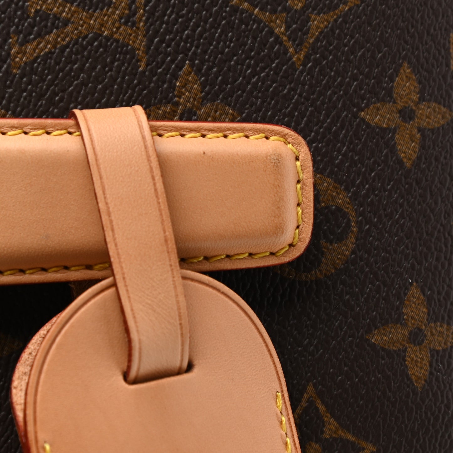 Monogram Pegase Legere Business 55