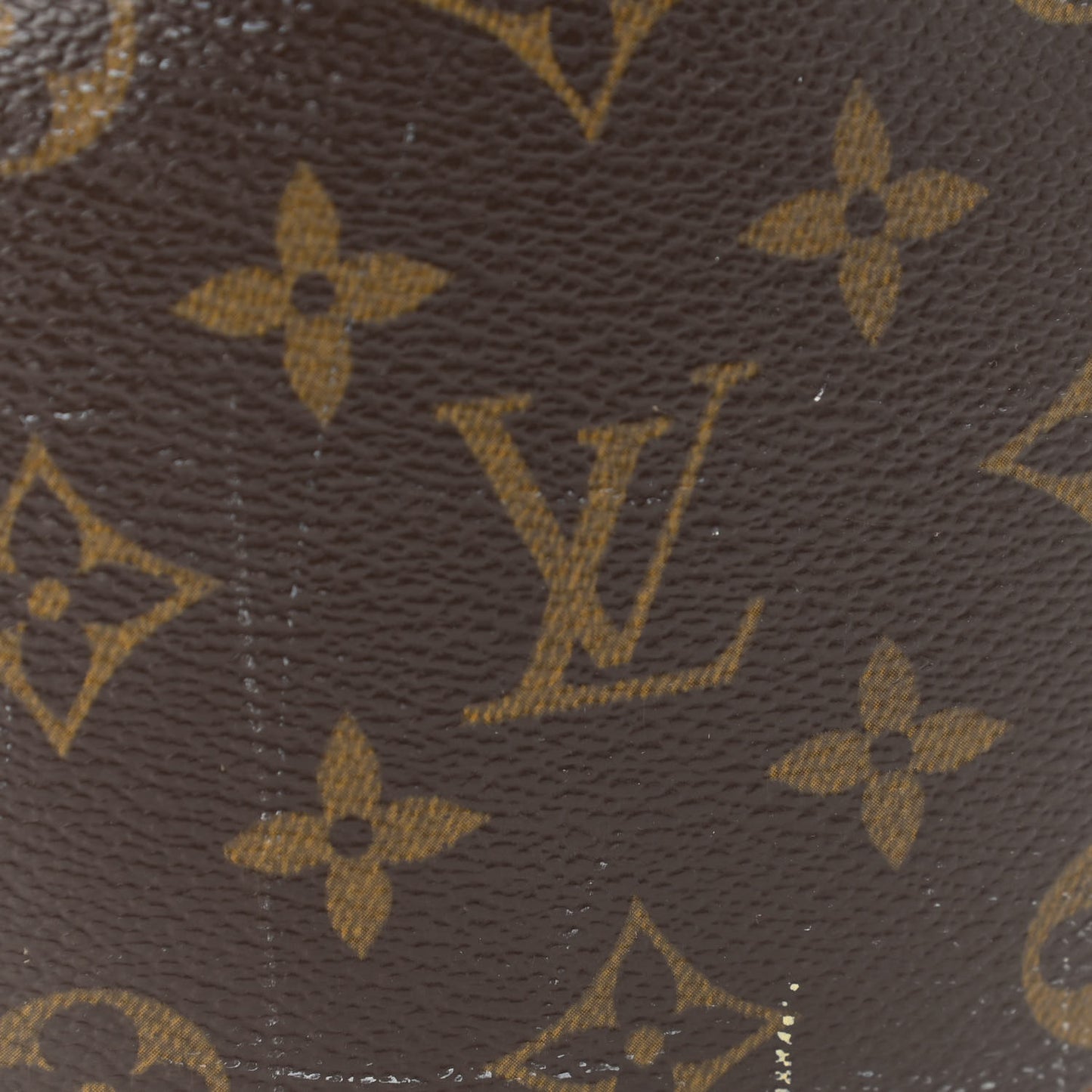 Monogram Papillon 26
