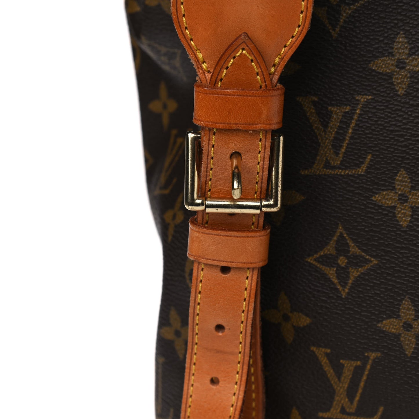 Monogram Montsouris GM Backpack