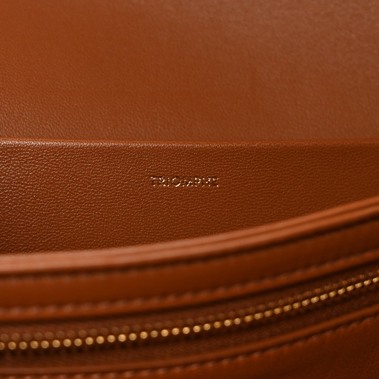 Calfskin Triomphe Canvas Medium Triomphe Tan
