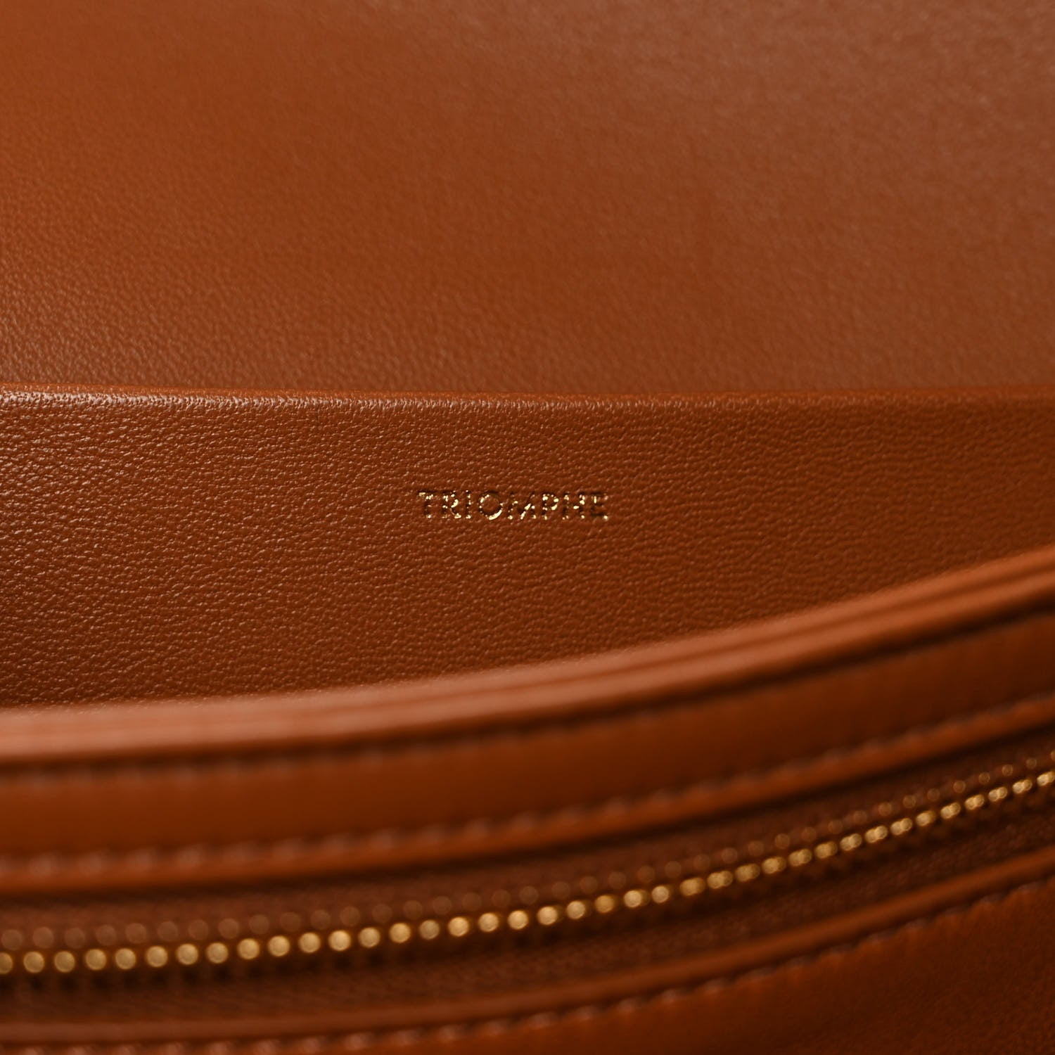 Celine Calfskin Triomphe Canvas Medium Triomphe Tan 7 of 9