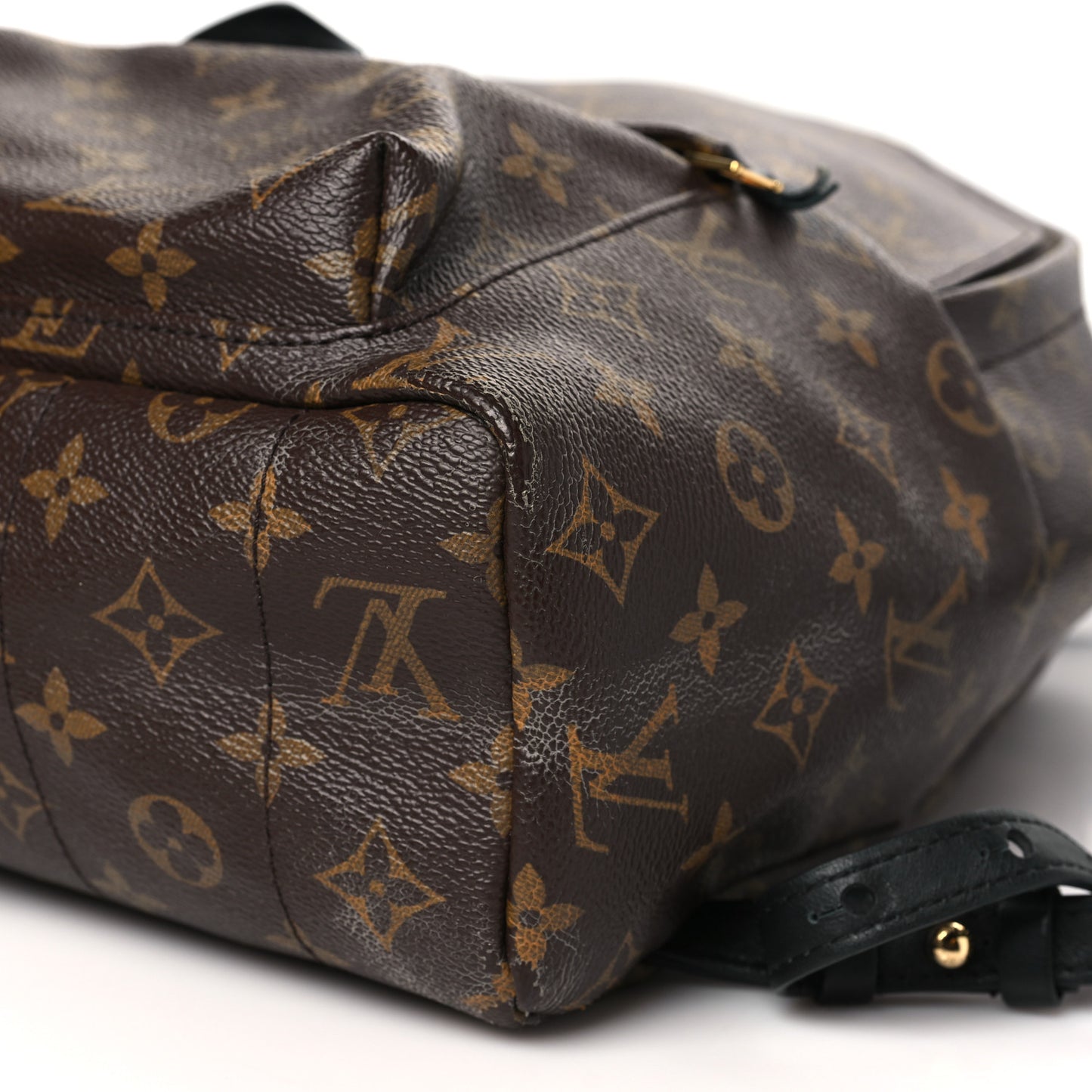 Monogram Palm Springs Backpack MM