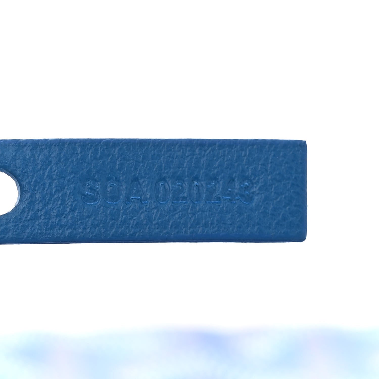 Goyard Goyardine Saint Louis PM Sky Blue 8 of 11