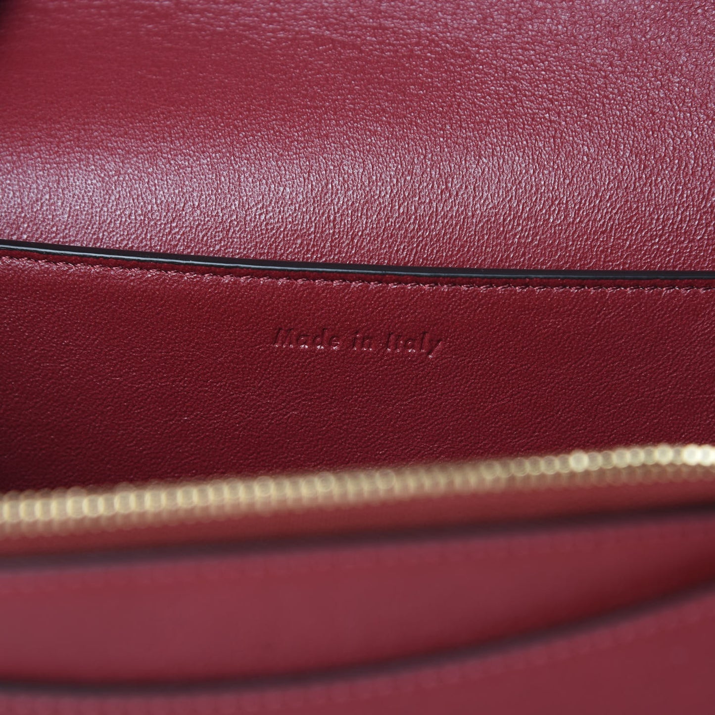 Shiny Smooth Calfskin Medium Frame Shoulder Bag Ruby Nude