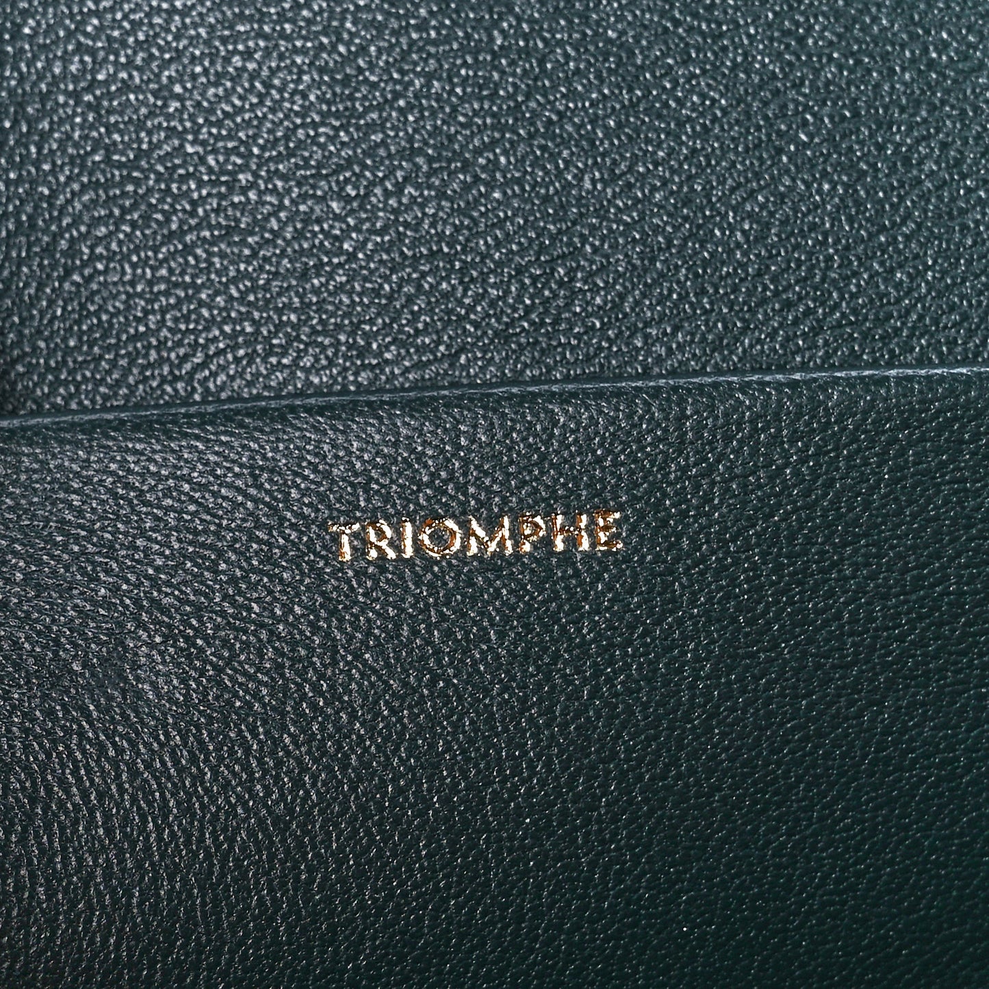 Shiny Calfskin Medium Triomphe Amazone