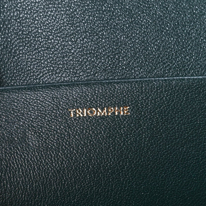Celine Shiny Calfskin Medium Triomphe Amazone 6 of 12