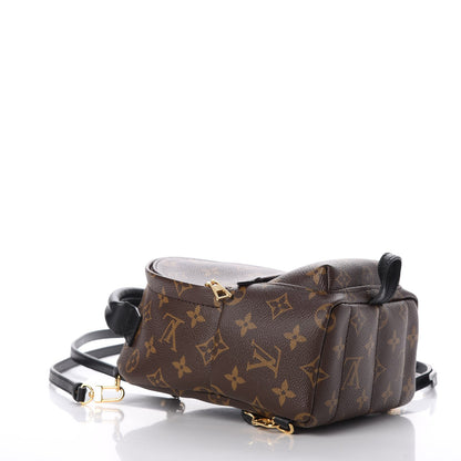 Louis Vuitton Monogram Palm Springs Backpack Mini 4 of 7
