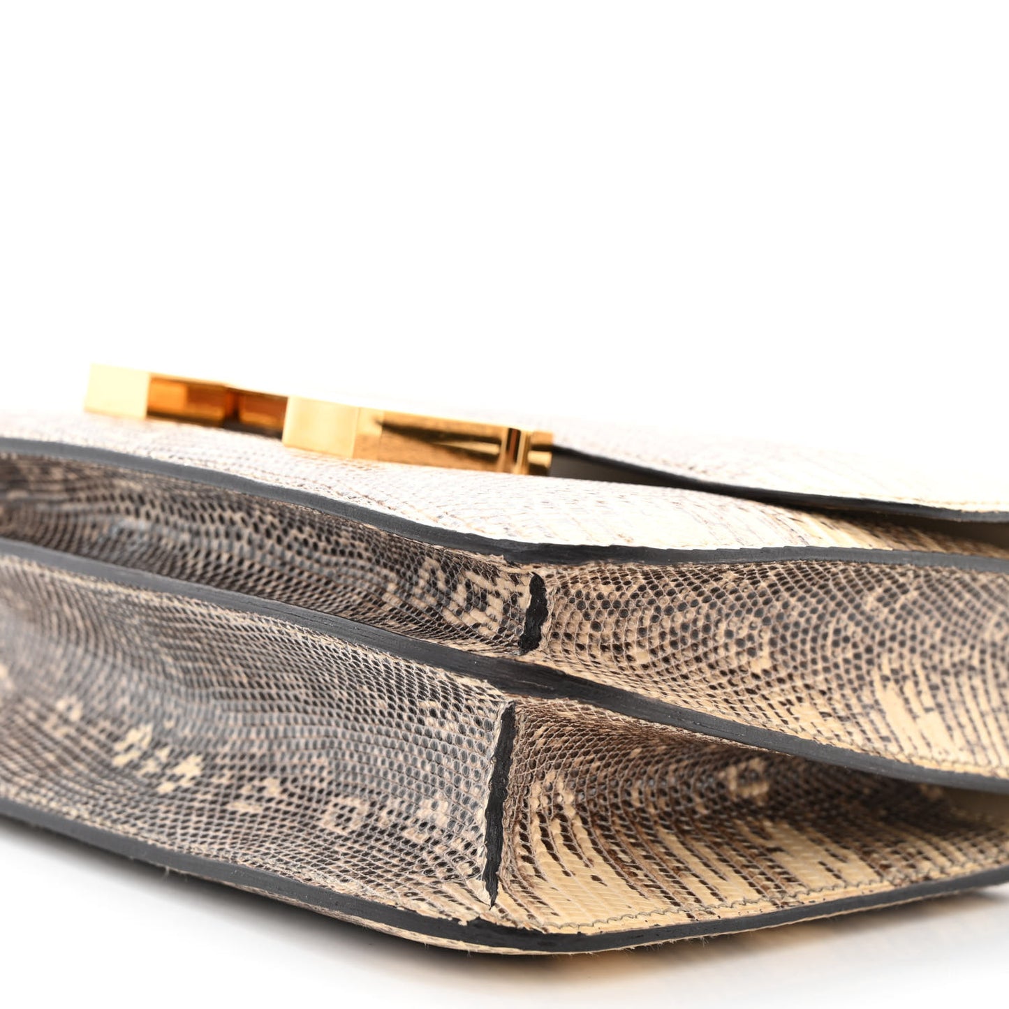 Lizard Constance 18 Ombre