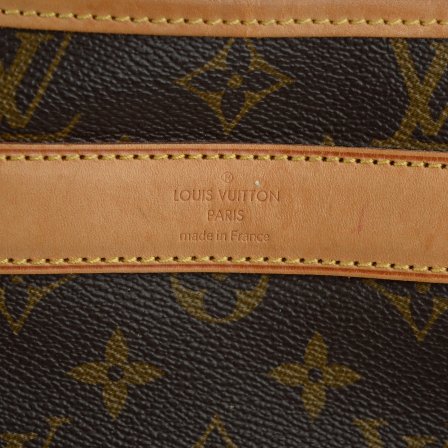 Louis Vuitton Monogram Sac Chien 50 Pet Carrier 7 of 10