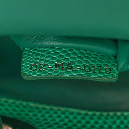 Christian Dior Lizard Swarovski Crystal Mini Lady Dior Green 13 of 13