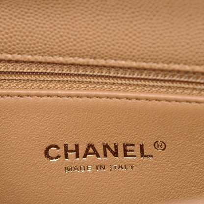 Chanel Caviar Lizard Quilted Large Coco Handle Flap Beige 6 of 8