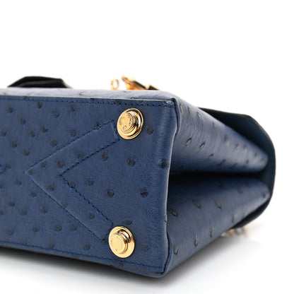 Louis Vuitton Ostrich Rose Des Vents Mini Indigo 7 of 7