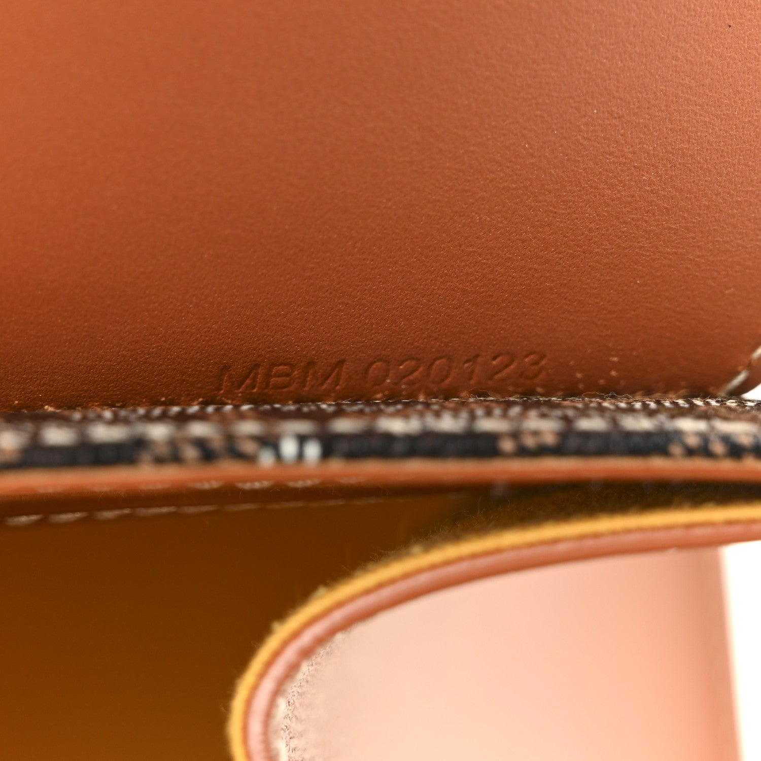 Goyard Goyardine Saigon PM Gold 7 of 12