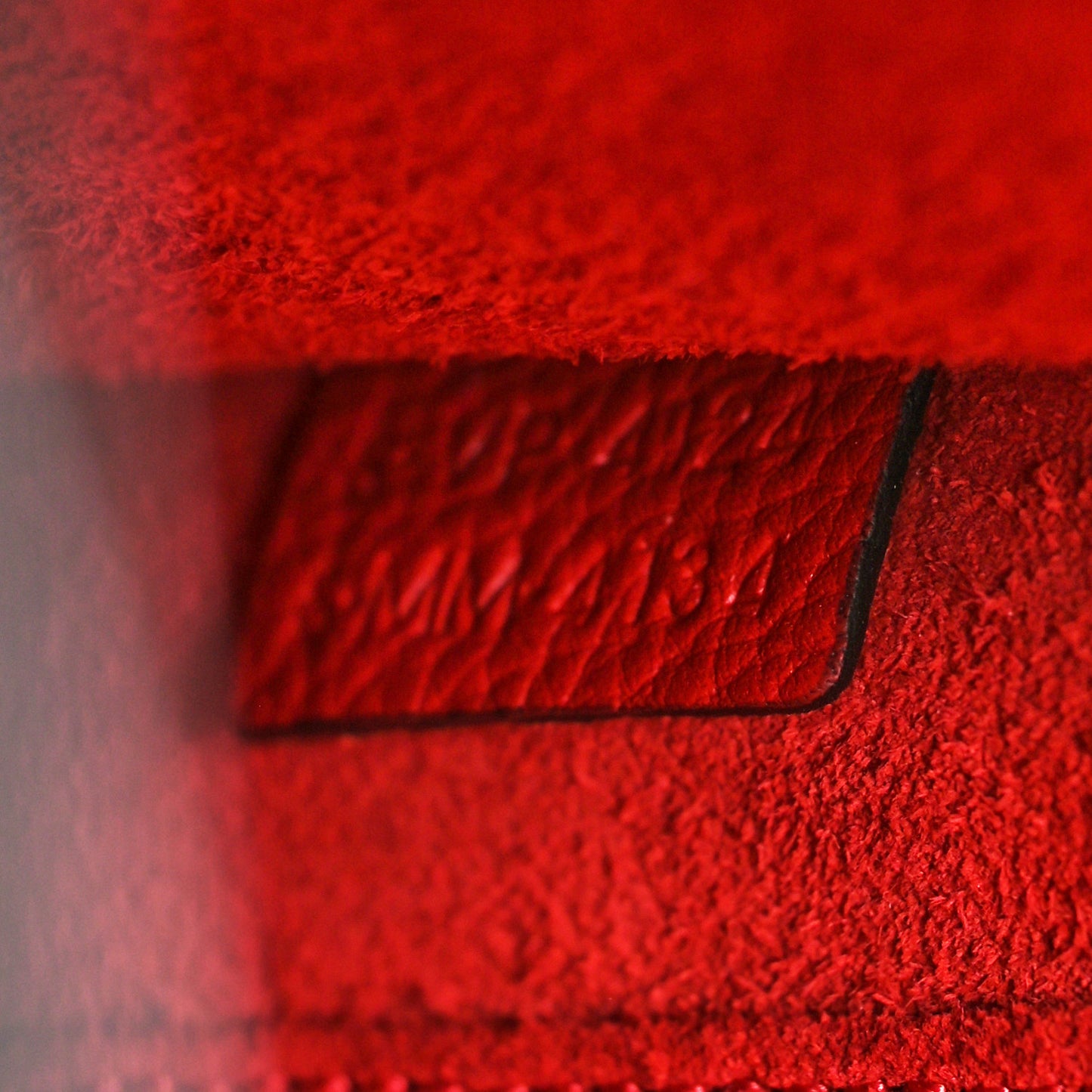 Drummed Calfskin Nano Luggage Vermillion