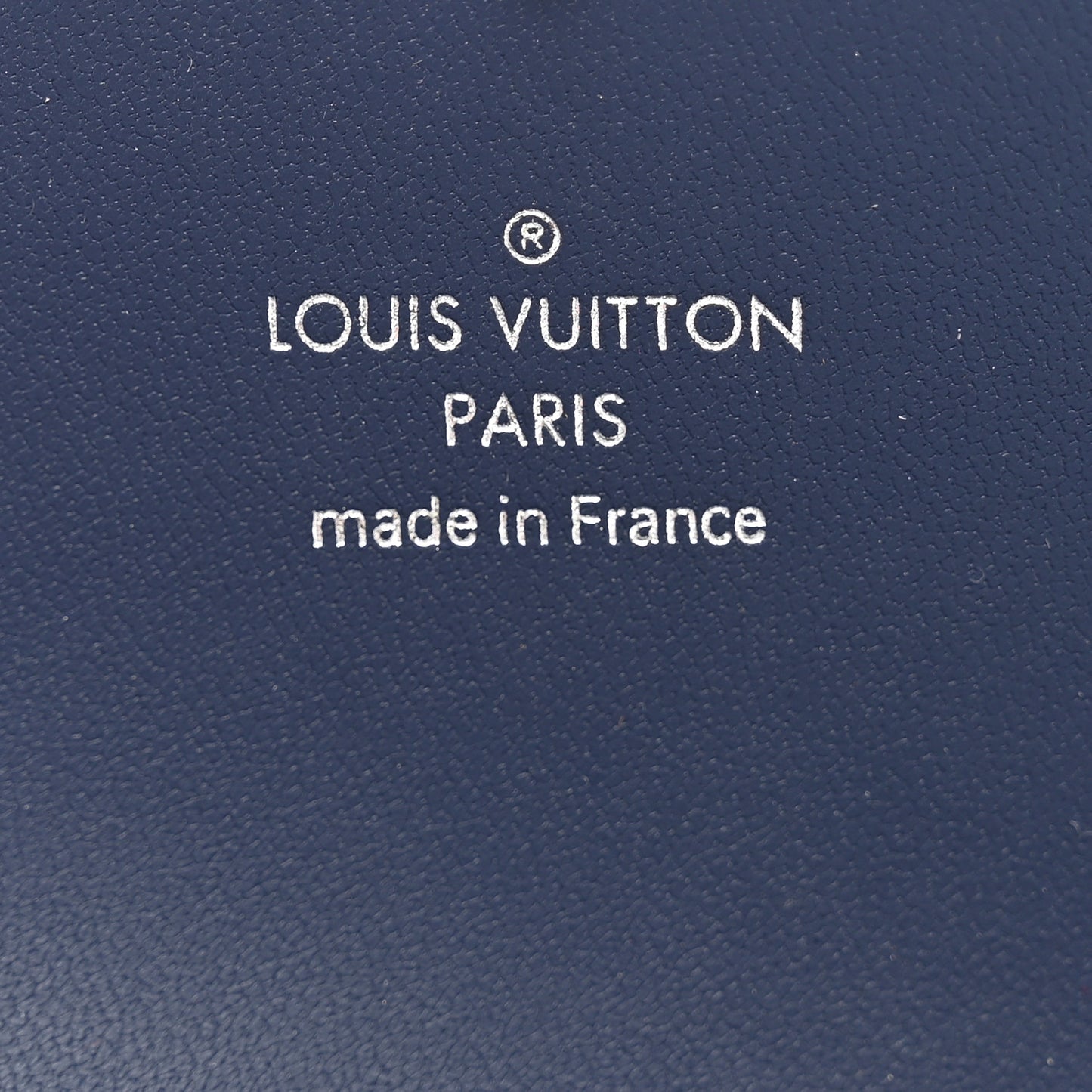 Monogram Escale Medium Kirigami Pochette Insert Blue