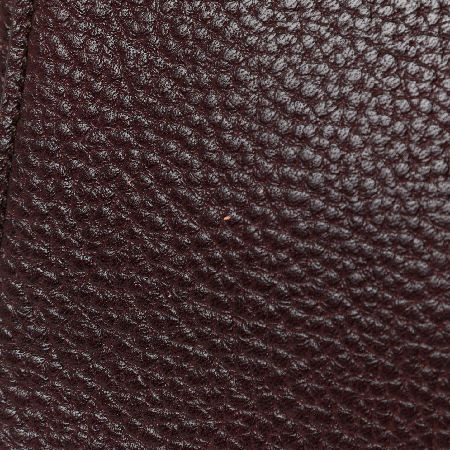 Glossy Goatskin Medium Lily Oxblood