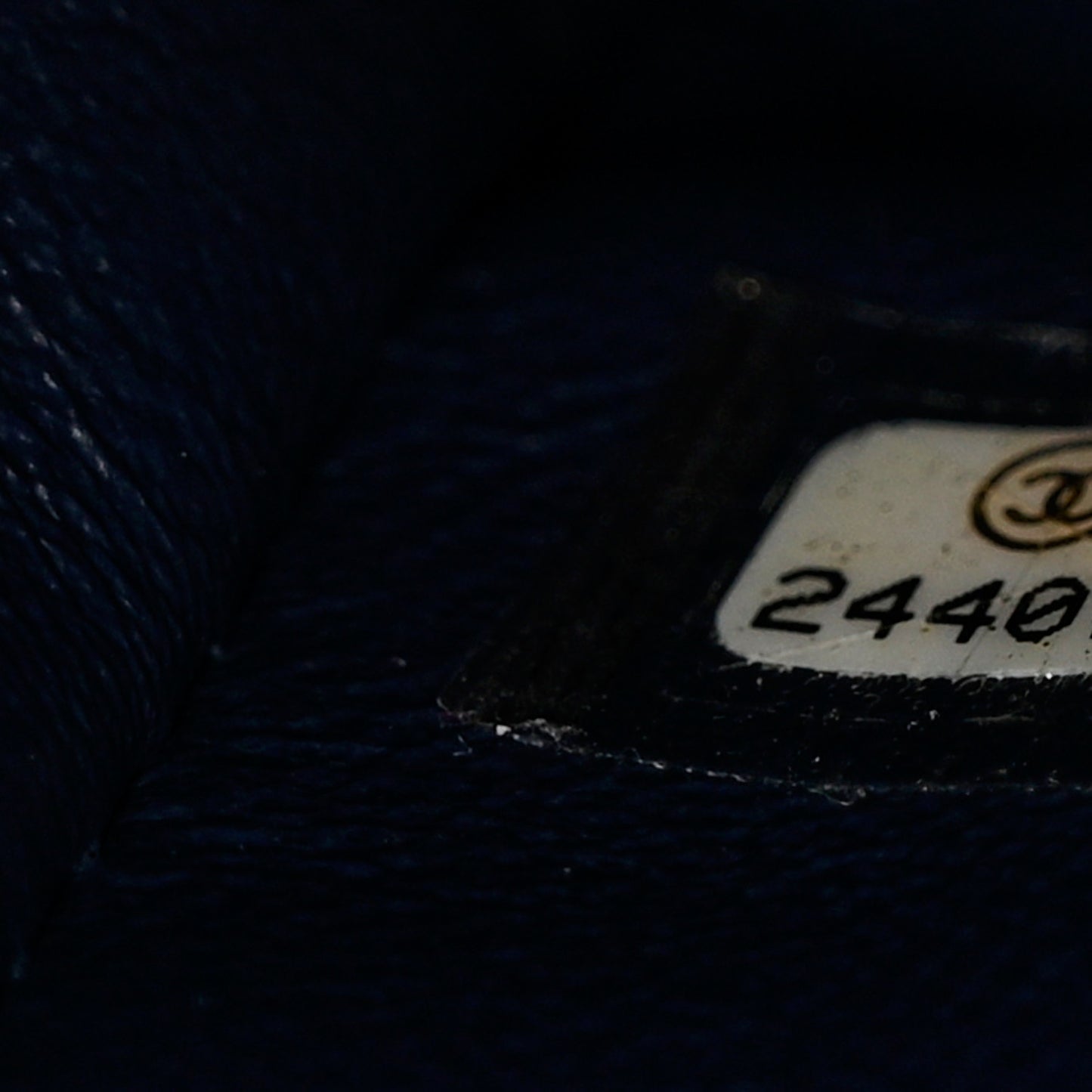 Caviar Quilted Lizard Embossed Mini Coco Handle Flap Navy Blue