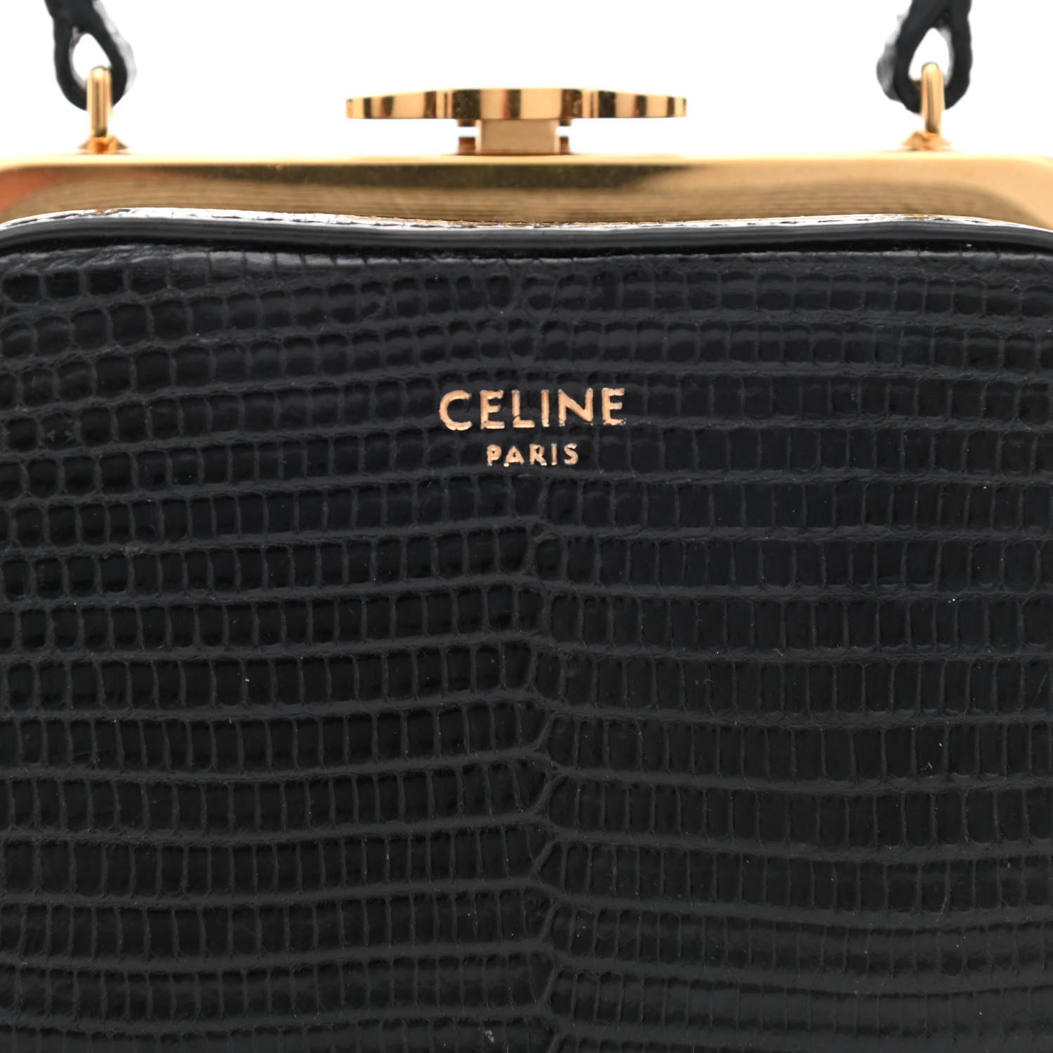 Celine Lizard Triomphe Minaudiere Black 8 of 10