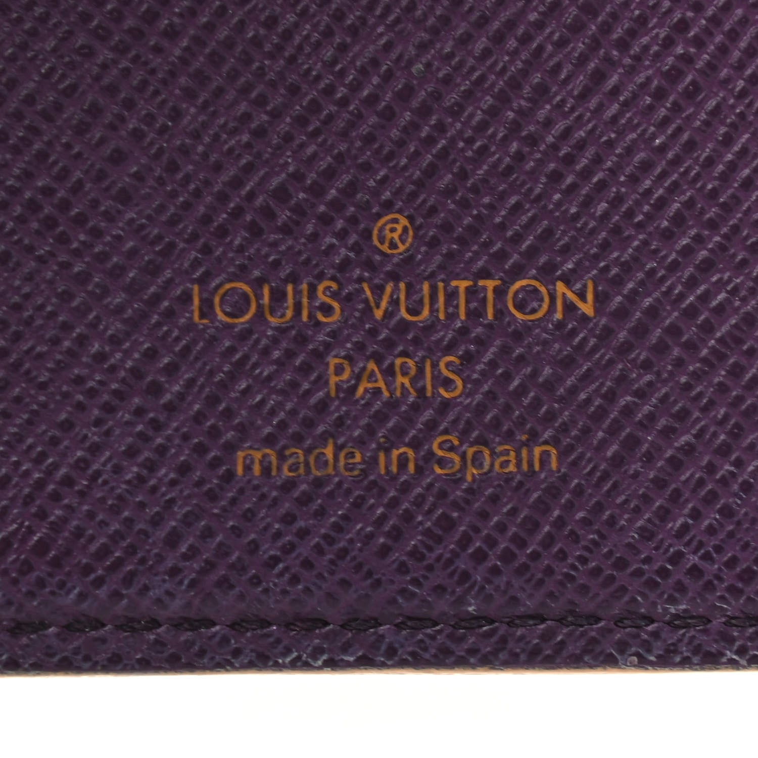 Louis Vuitton Epi Small Ring Agenda Cover Tassil 6 of 6
