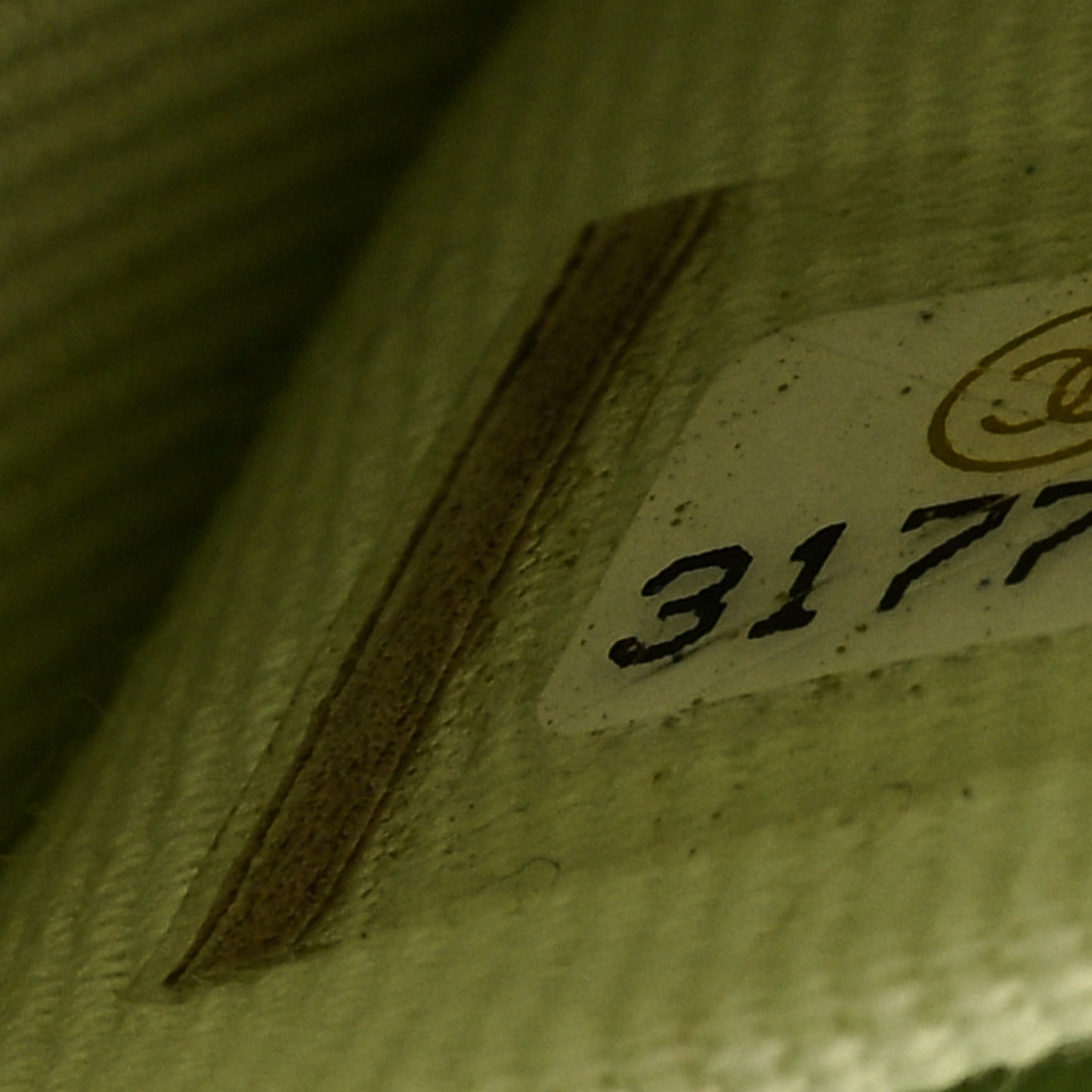 Caviar Quilted Round Handle With Care Vanity With Chain Light Green