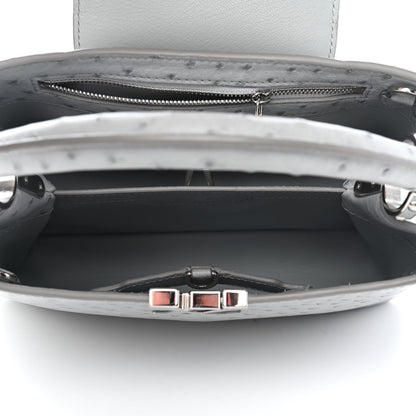 Louis Vuitton Ostrich Capucines BB Gris 5 of 10