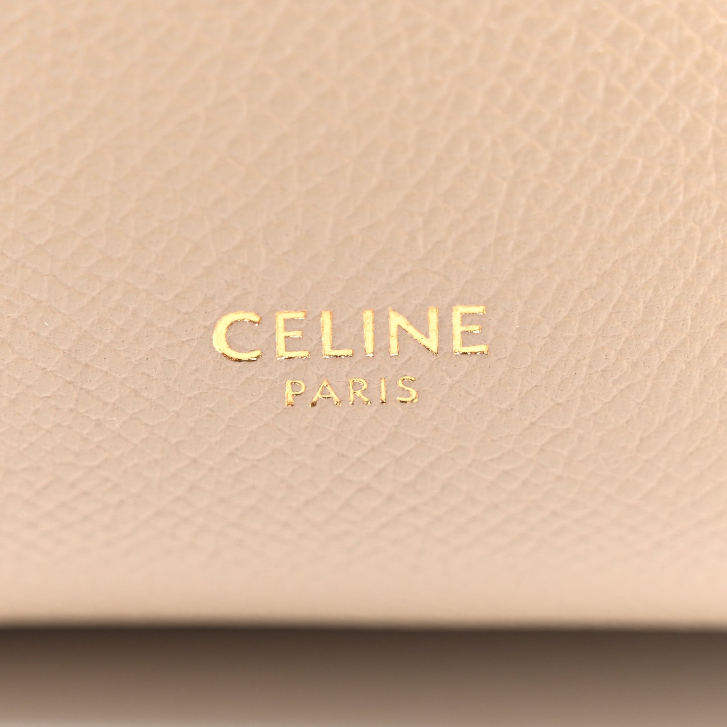 Grained Calfskin Pico Belt Bag Light Taupe