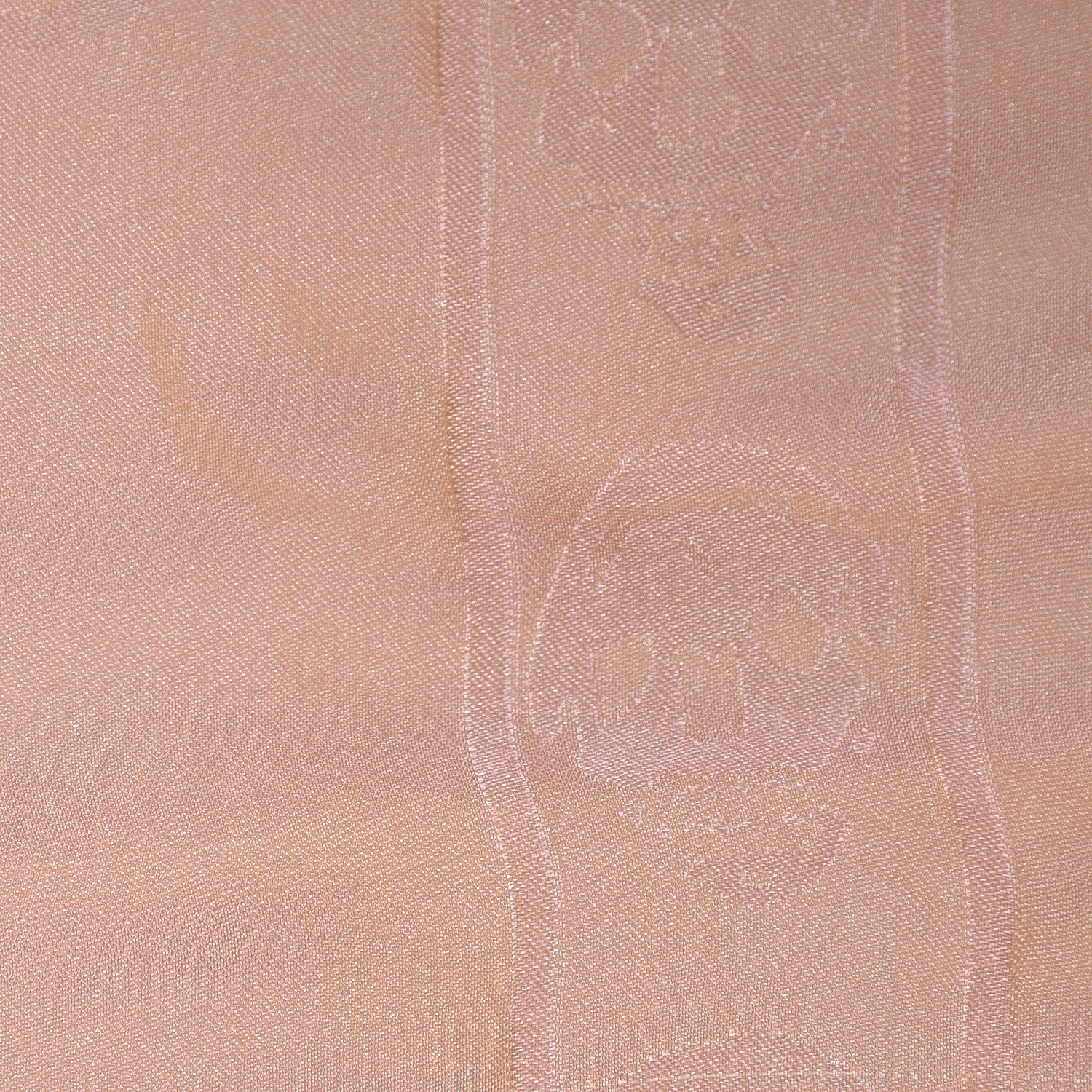 Alexander McQueen Silk Degrade Skull Scarf Pink 6 of 8