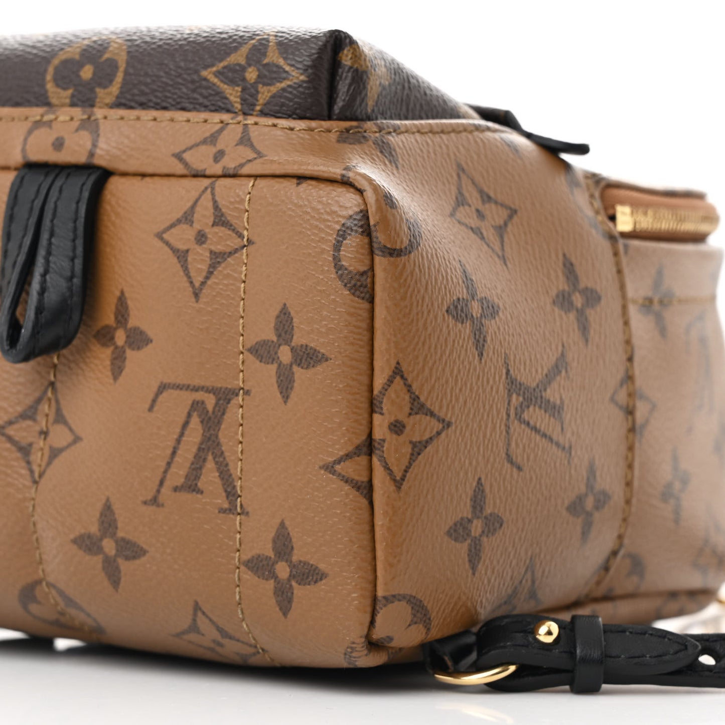 Reverse Monogram Palm Springs Backpack Mini