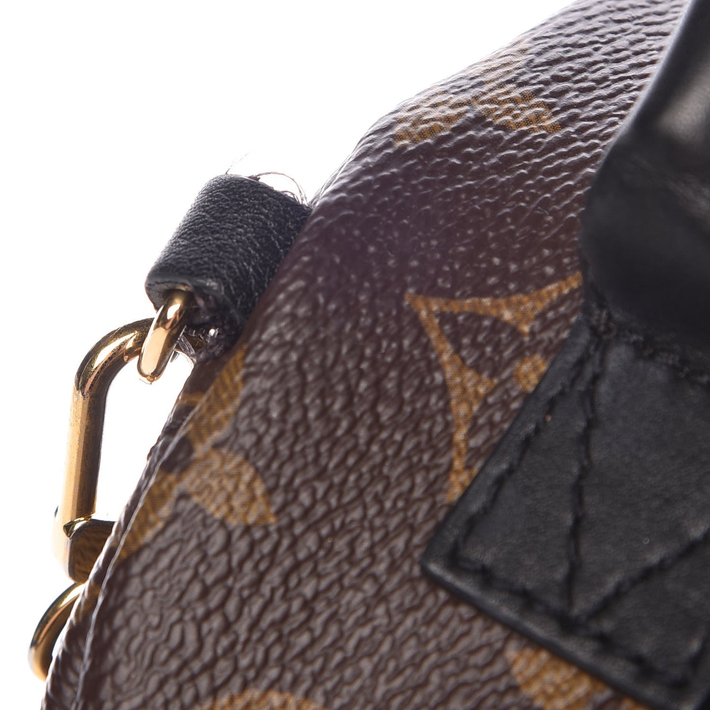Monogram Palm Springs Backpack Mini
