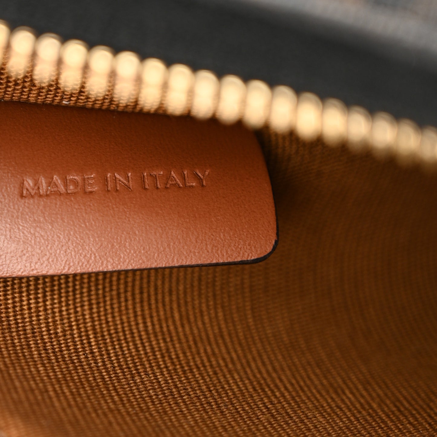 Triomphe Canvas Calfskin Medium Strap Ava Triomphe Shoulder Bag Tan