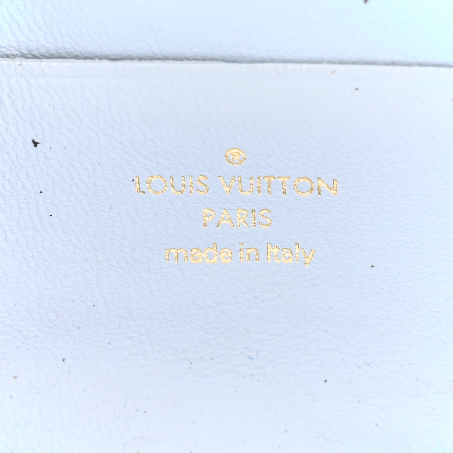 Louis Vuitton Calfskin Bubblegram Wallet On Strap Ice Blue 7 of 14