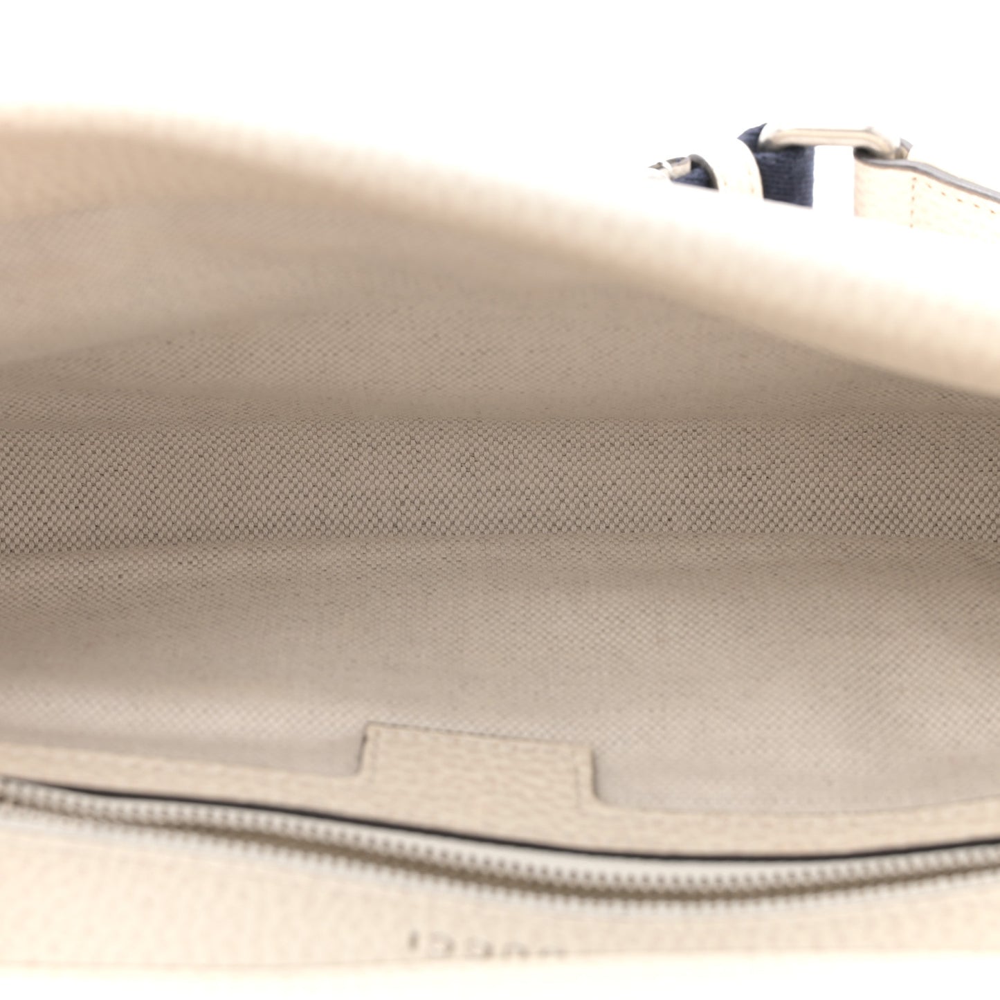 Dollar Calfskin Web Small Dionysus Crossbody Bag Mystic White
