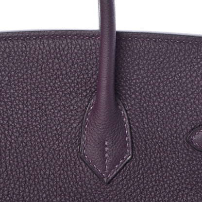 Hermes Togo Birkin 25 Raisin 17 of 34